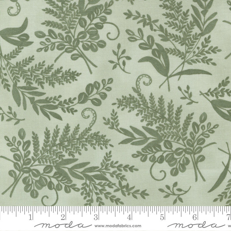 Happiness Blooms Fern | 56054 17