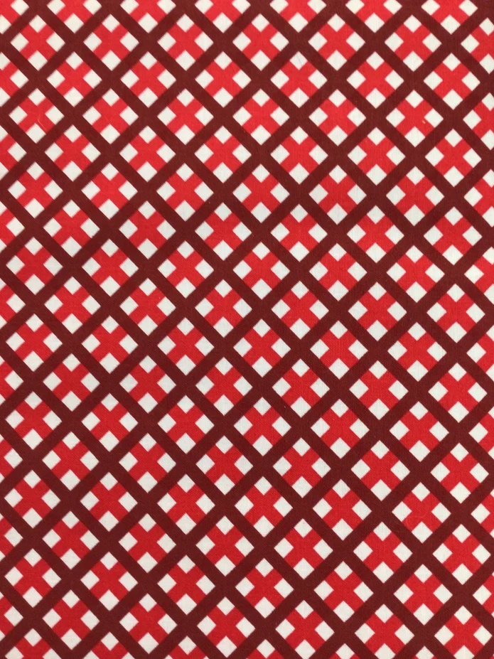 Sweet Freedom | C14417 | Gingham Picnic Red