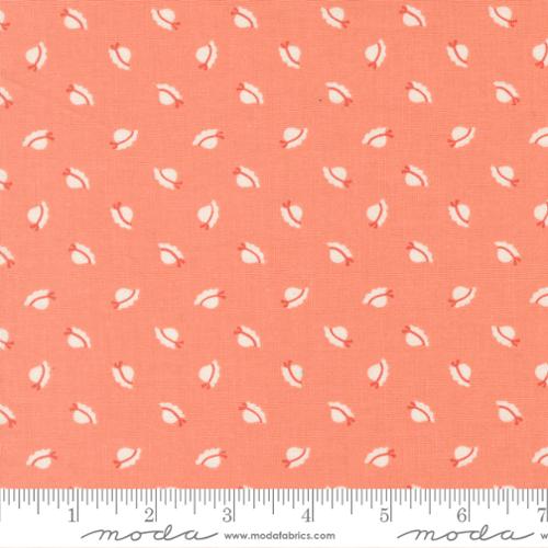 Sunbonnet Coral | 31765 41