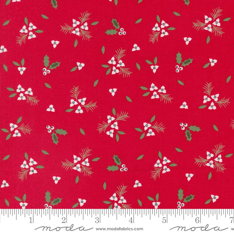 Starberry Red | 29182 12