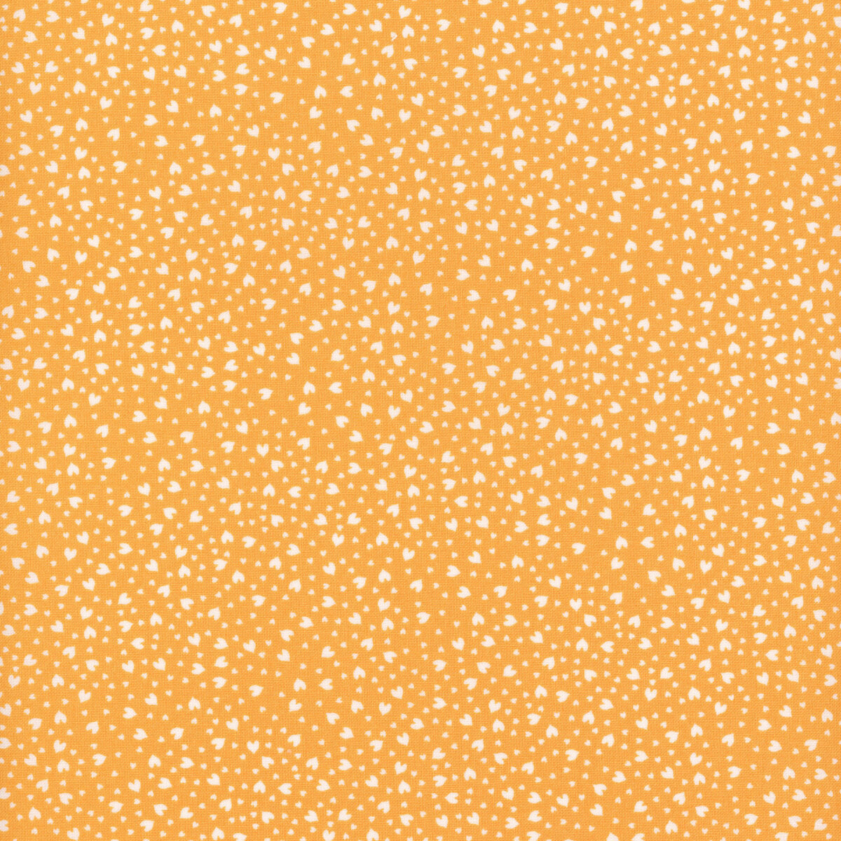 Shine Orangesicle | 55675 15