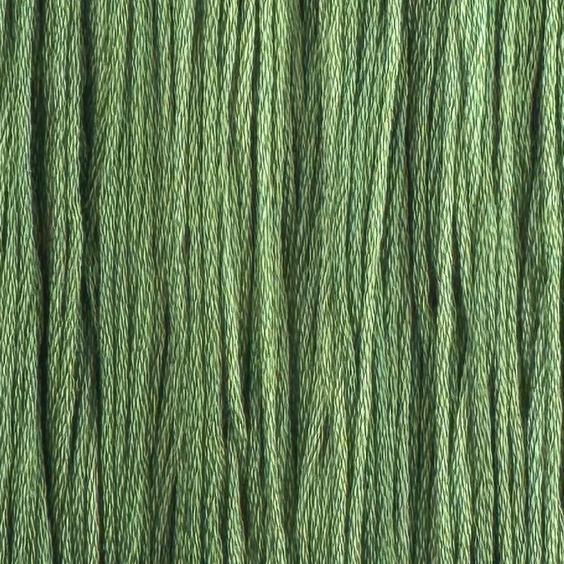 Bonsai - Colour and Cotton 6 Strand Floss - CAC-719