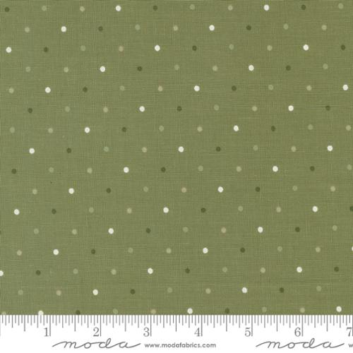 Magic Dot Fern | 5230 19