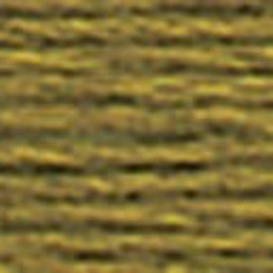 DMC-731 Dark Olive Green  6 Strand Floss