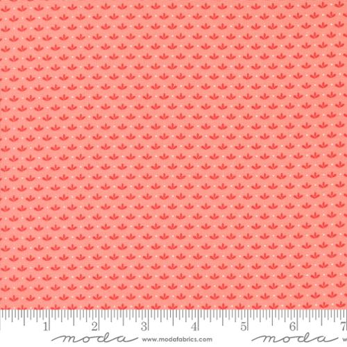 Raspberry Summer Carnation | 37694 12