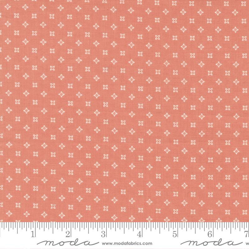 Peachy Keen Coral | 29173 19