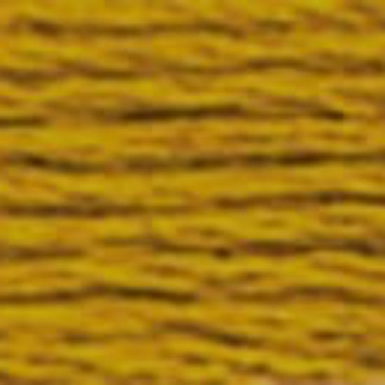 DMC-781 Very Dark Topaz  6 Strand Floss