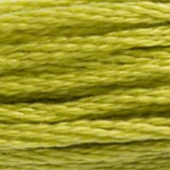 DMC-166 Medium Light Moss Green 6 Strand Floss