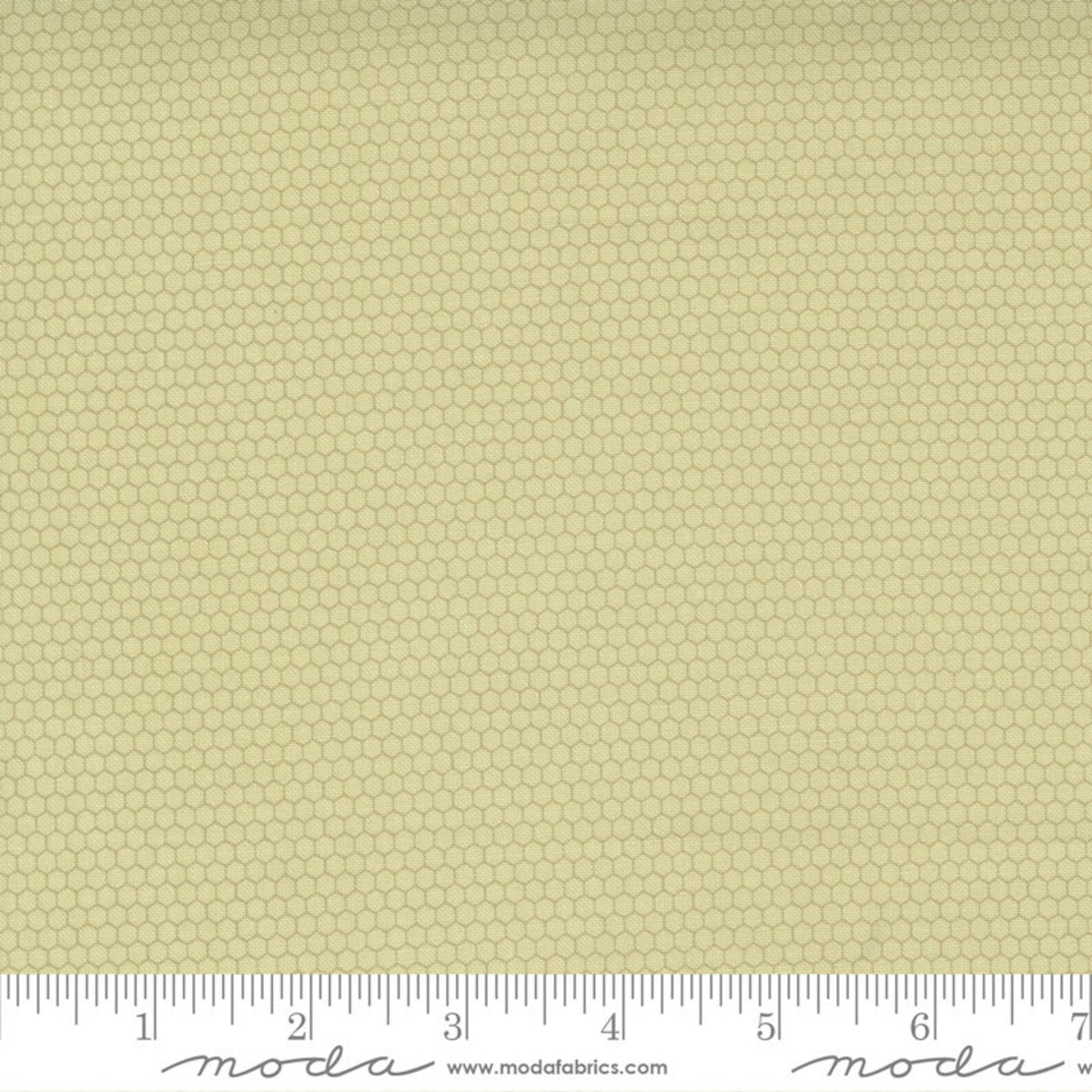 Buttercup Slate Spring | 29158 18