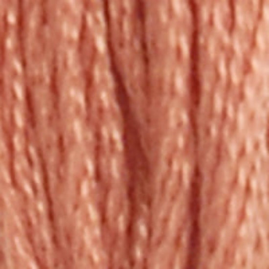 DMC-21 Light Alizarin 6 Strand Floss