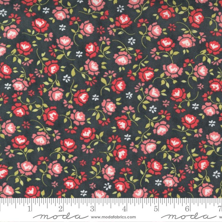 Fresh Fig Favorites Black | 20416 19