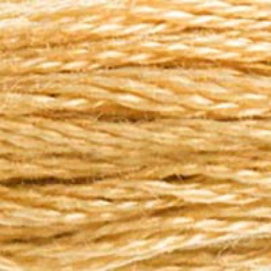 DMC-422 Light Hazelnut Brown  6 Strand Floss