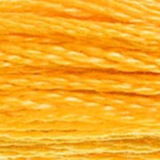 DMC-742 Light Tangerine  6 Strand Floss