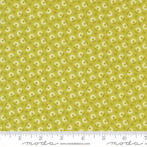 Rosie Green Apple | 35425 20