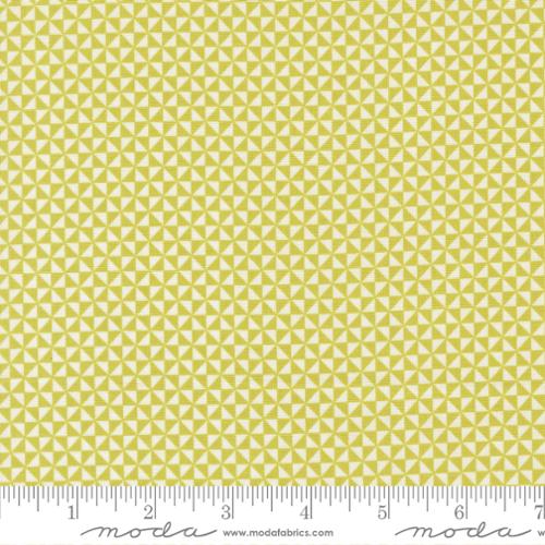 Delightfully Yours Chartreuse | 37704 14