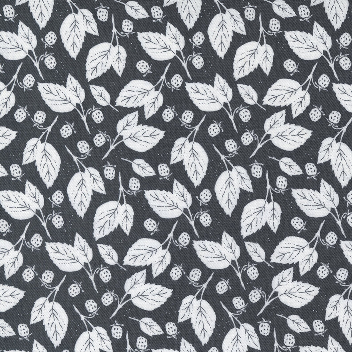 Midnight Garden Charcoal | 43125 13
