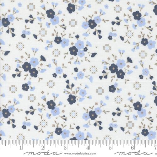 Sun Drenched Cloud Indigo | 43201 25