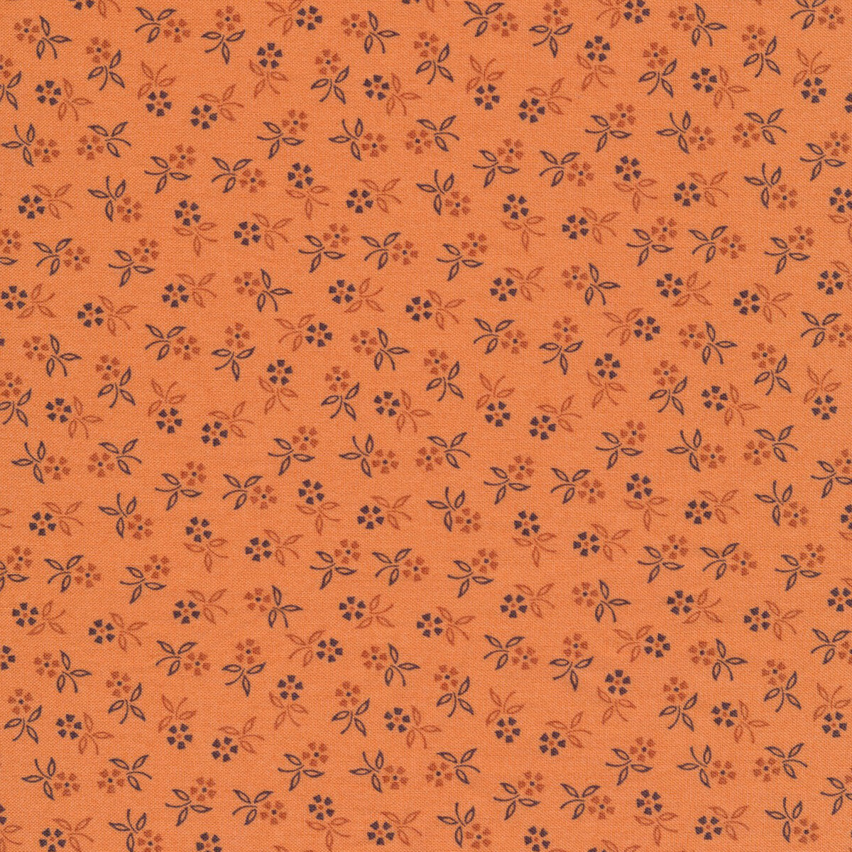 Autumn | C14664 | Perennial - Yam