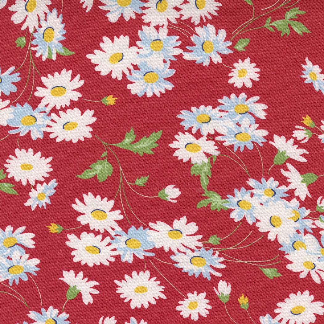 Story Time Real Daisy Red | 21791 12