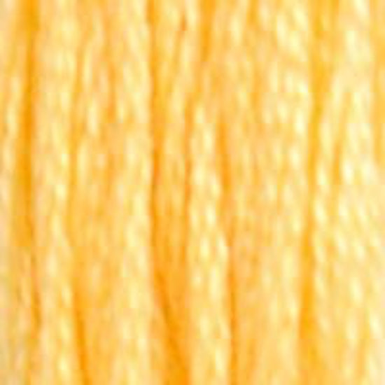 DMC-19 Medium Light Autumn Gold 6 Strand Floss