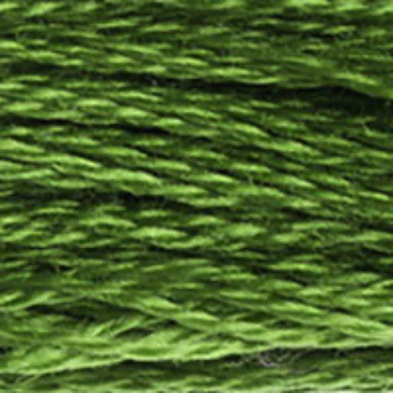 DMC-905 Dark Parrot Green  6 Strand Floss