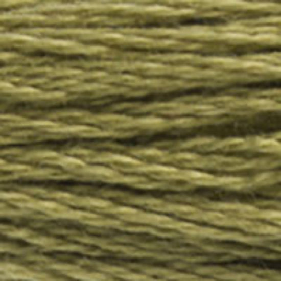 DMC-3012 Medium Khaki Green  6 Strand Floss