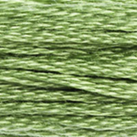 DMC-989 Forest Green 6 Strand Floss