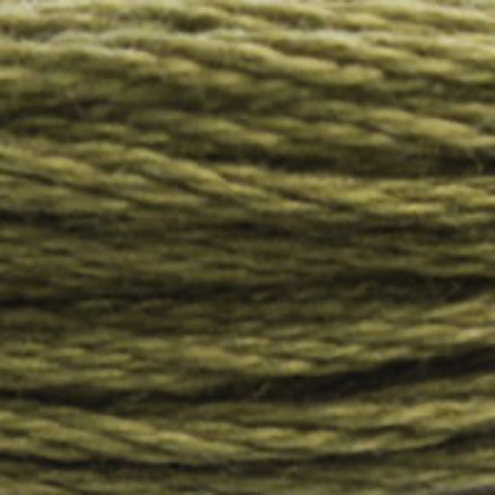 DMC-3011 Dark Khaki Green  6 Strand Floss