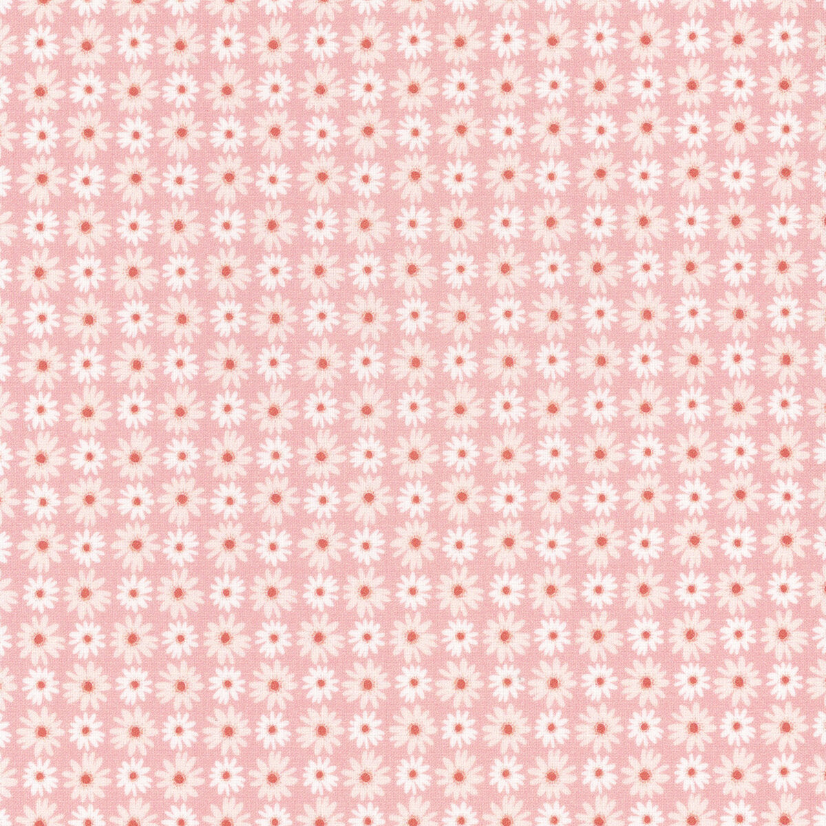 Nature Sings | NS24104 | Daisy Bunch - Pink