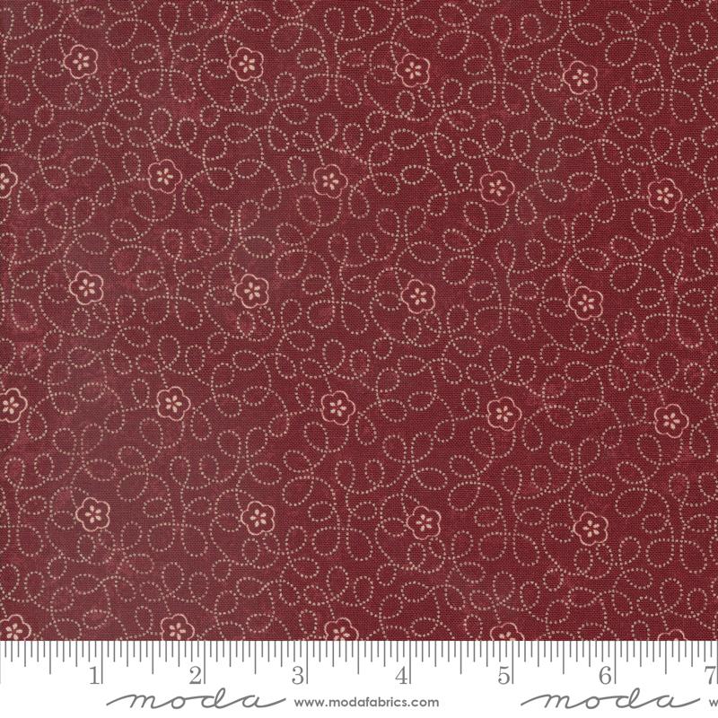 Daisy Lane Carnation | 9762 13