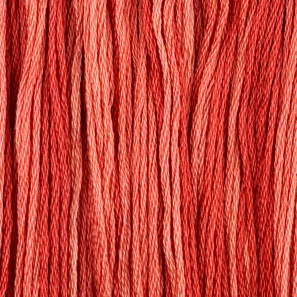 Fool's Hat - Colour and Cotton 6 Strand Floss - CAC-769
