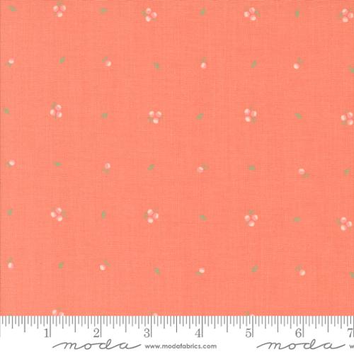 Abloom Coral | 29216 12