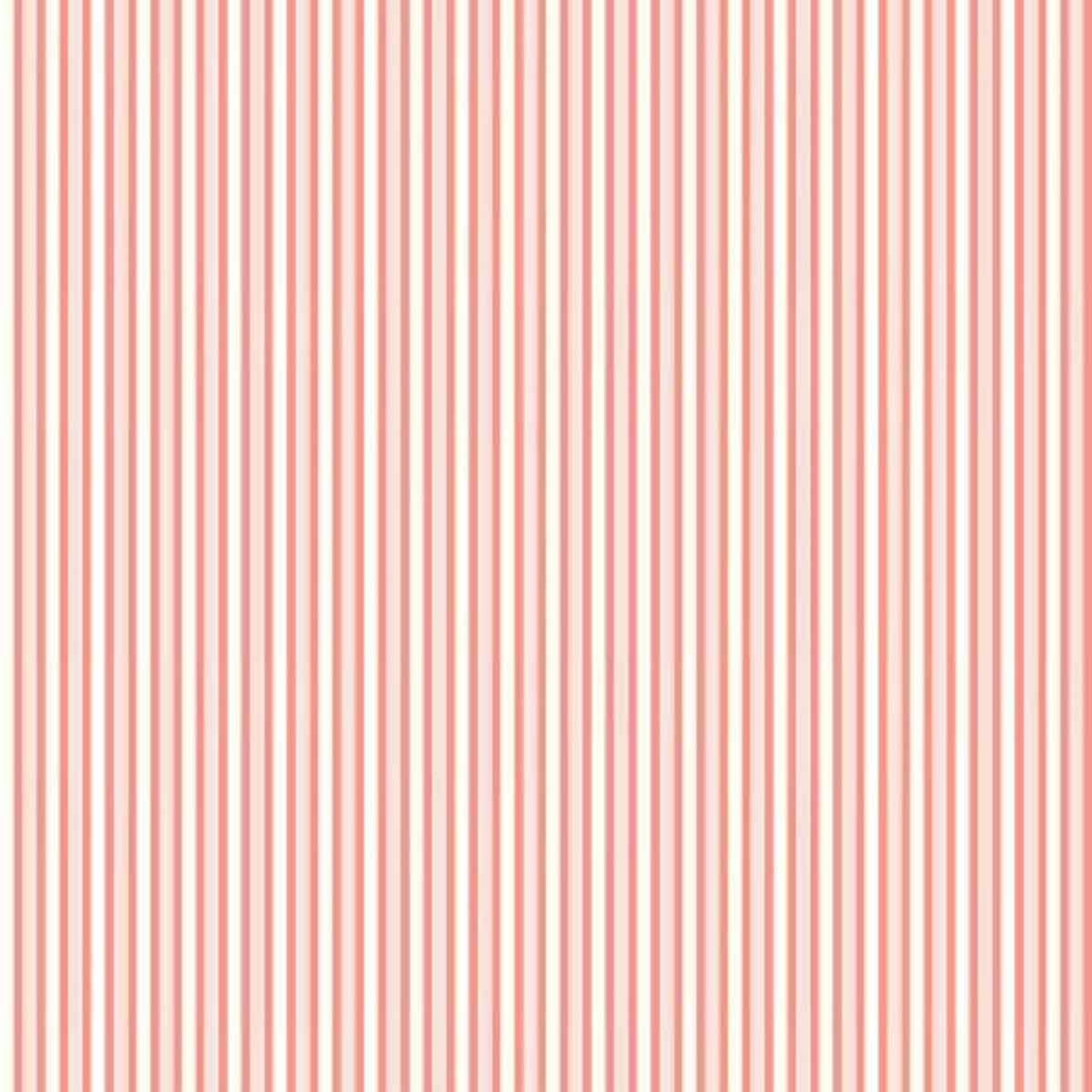 Melody | C15146 | Stripes - Salmon