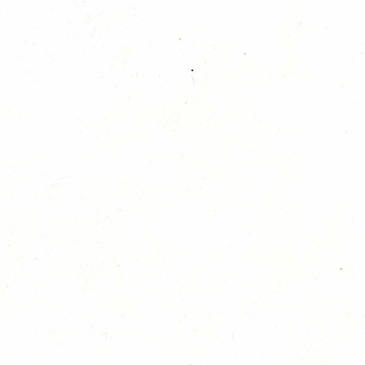 WoolFelt White