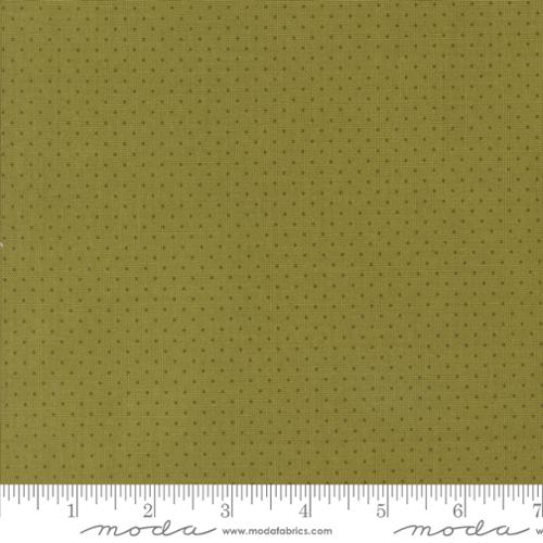 Frivolity Lichen | 43197 14