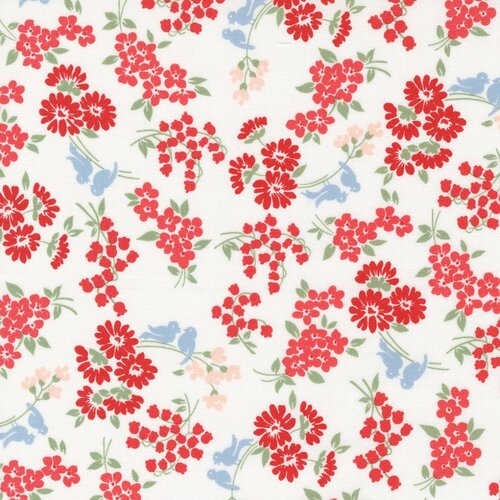 Dwell Cream | 55273 31