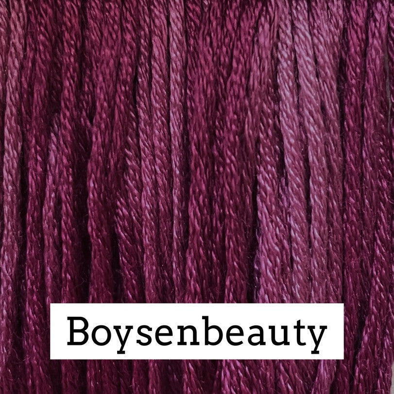 Boysenbeauty - Classic Colorworks Silk Floss