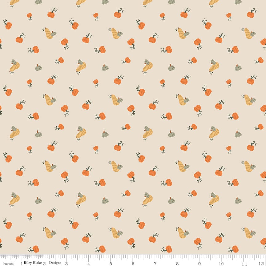 Pumpkin Spice | C14993 | Pumpkins - Ivory