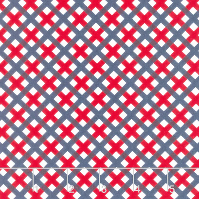 Sweet Freedom | C14417 | Gingham Picnic - Multi