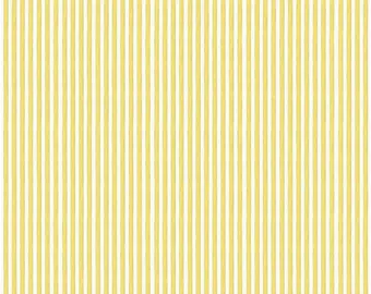Melody | C15146 | Beehive