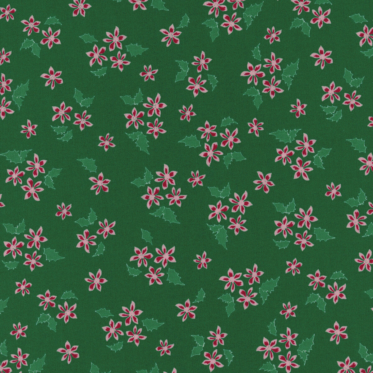 Mistletoe & Holly | C16405 | Forest