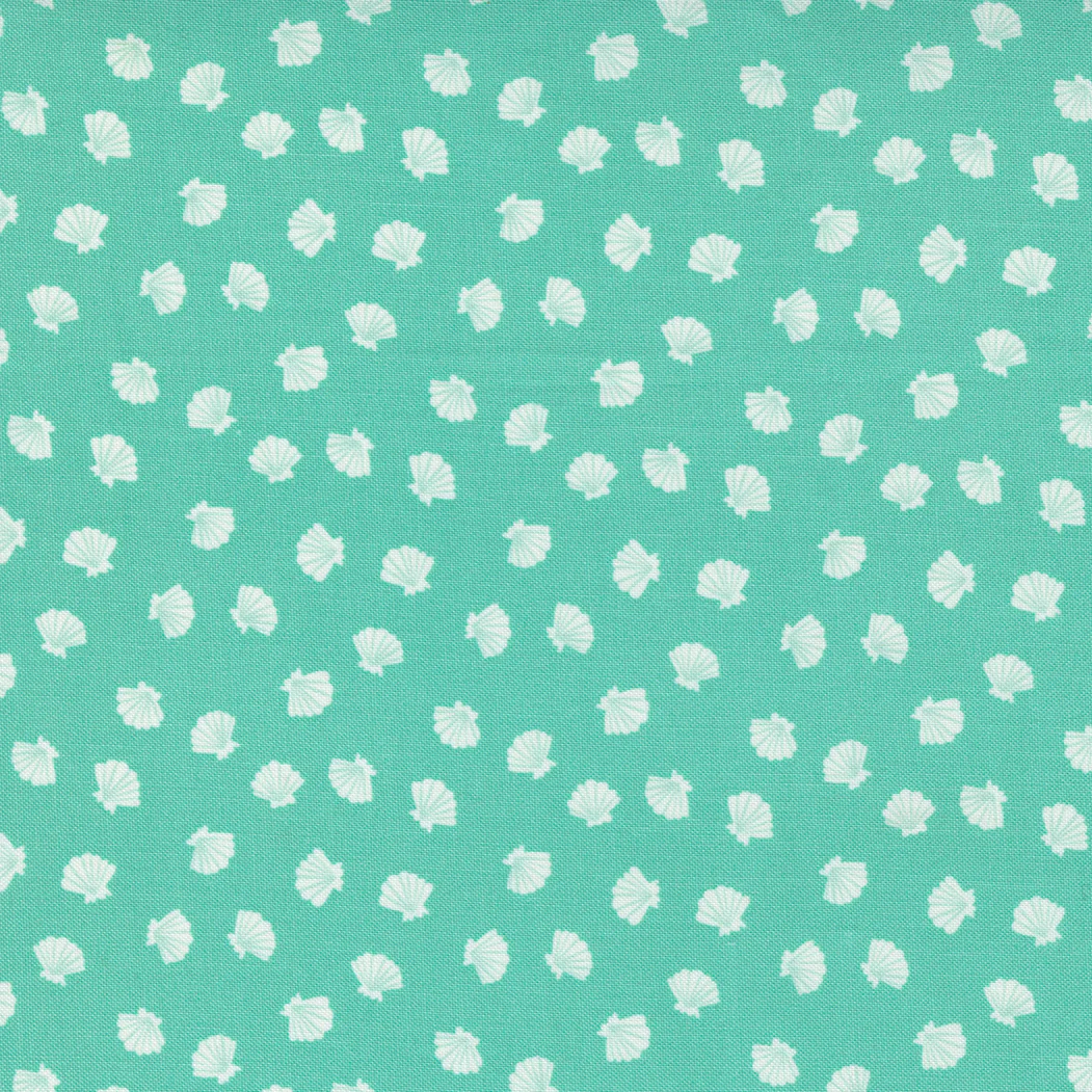 The Sea and Me Lucky Shell | 20798 15