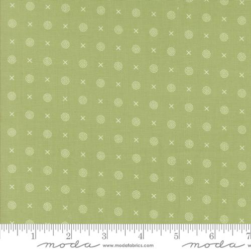 Abloom Cucumber | 29215 27