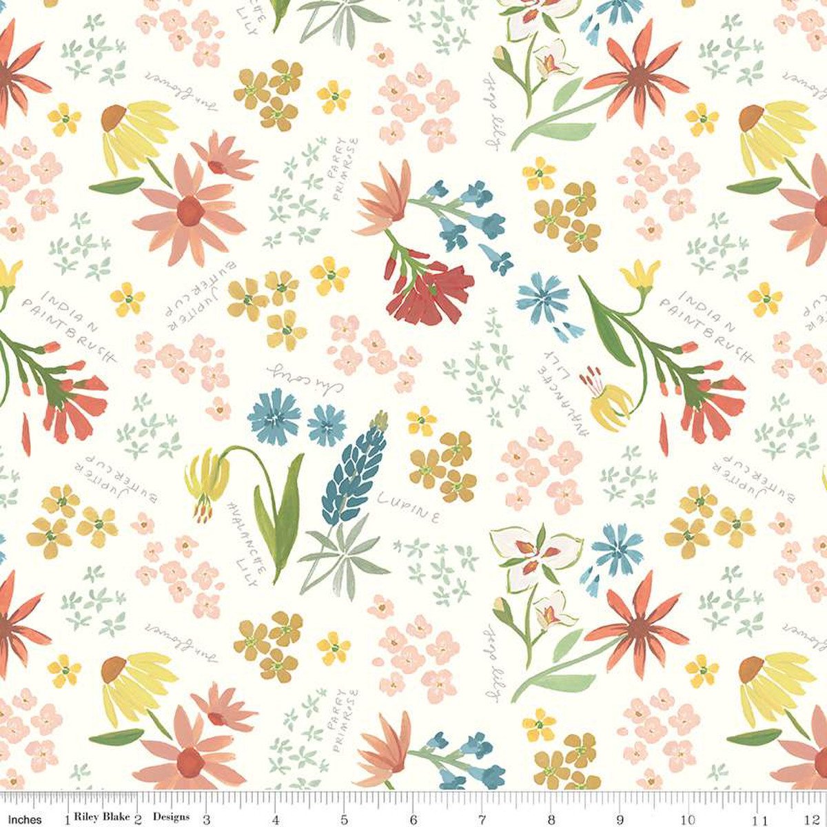 Albion | C14590 | Main - Cream