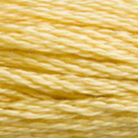 DMC-3822 Light Straw  6 Strand Floss