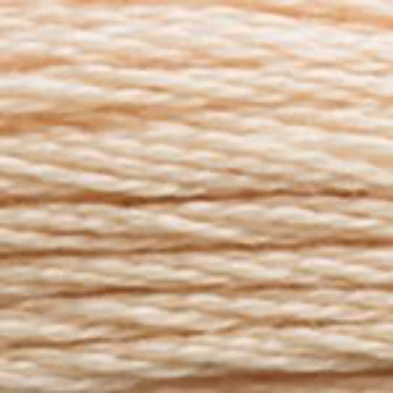 DMC-945 Tawny 6 Strand Floss