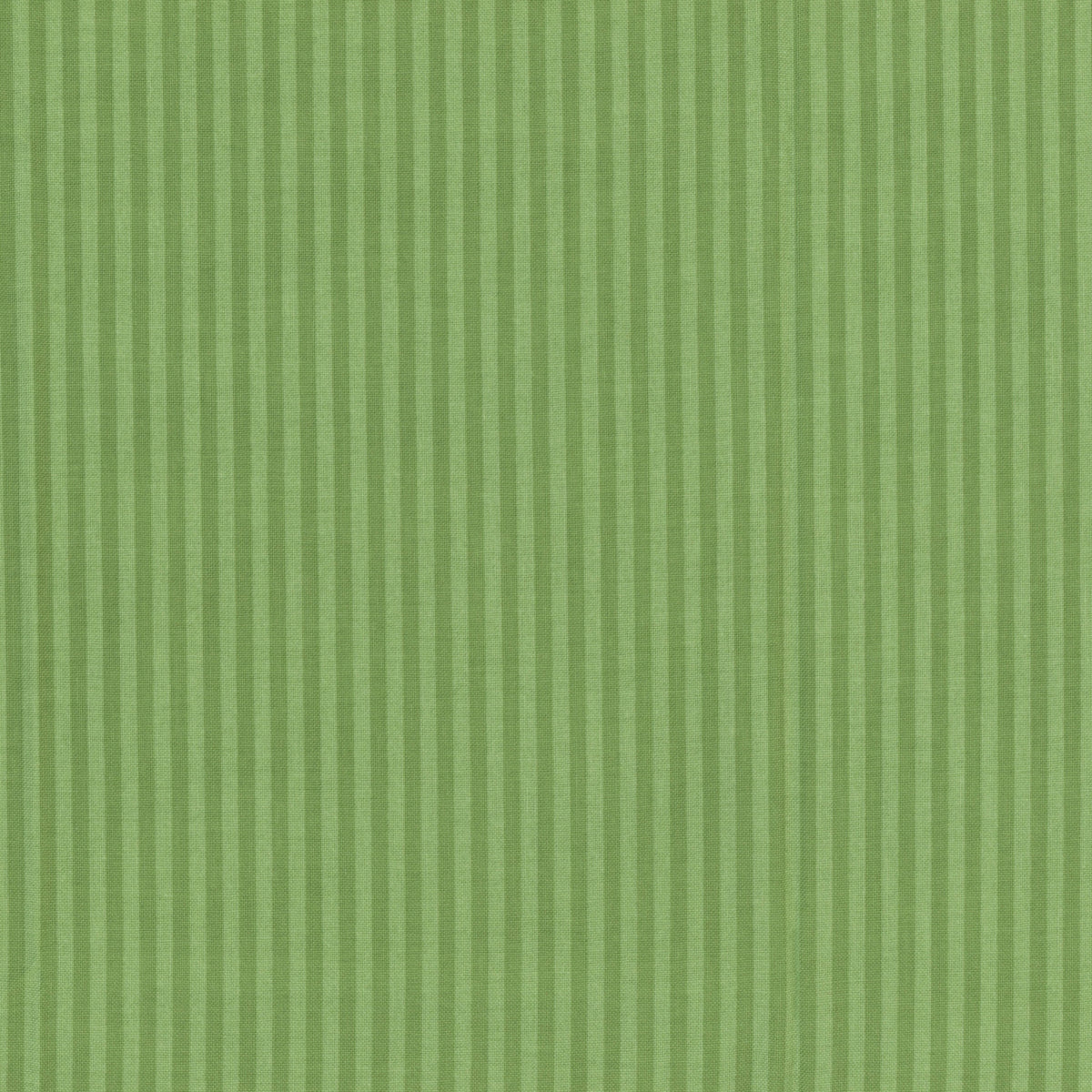 Stripes | C500 | Green