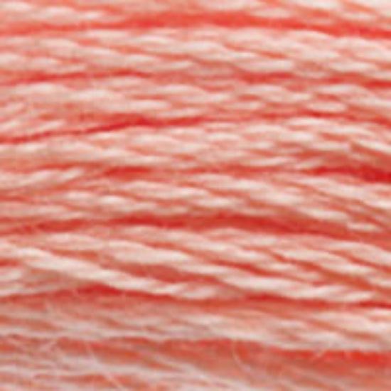 DMC-3824 Light Apricot  6 Strand Floss