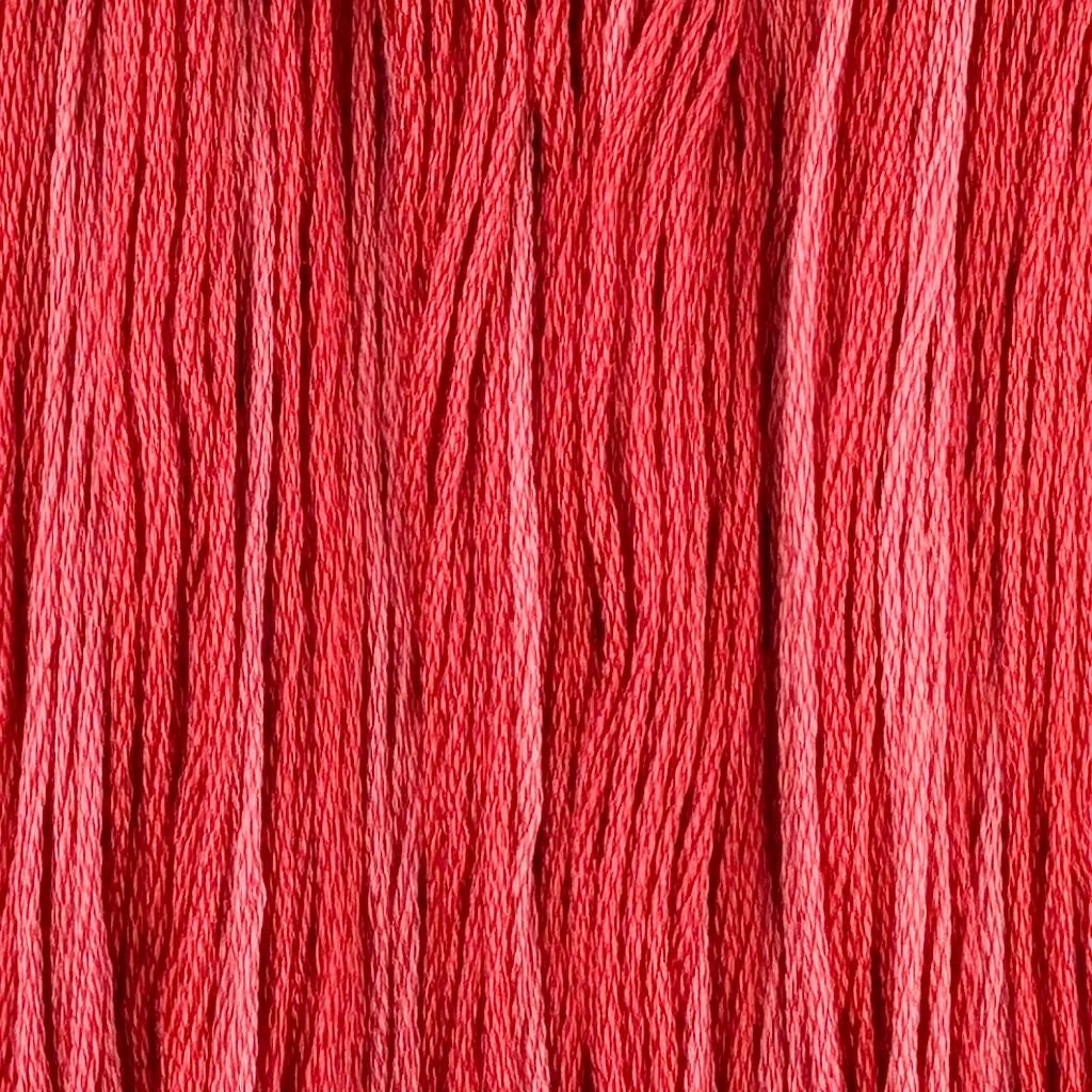 Tudor Rose - Colour and Cotton 6 Strand Floss - CAC-770