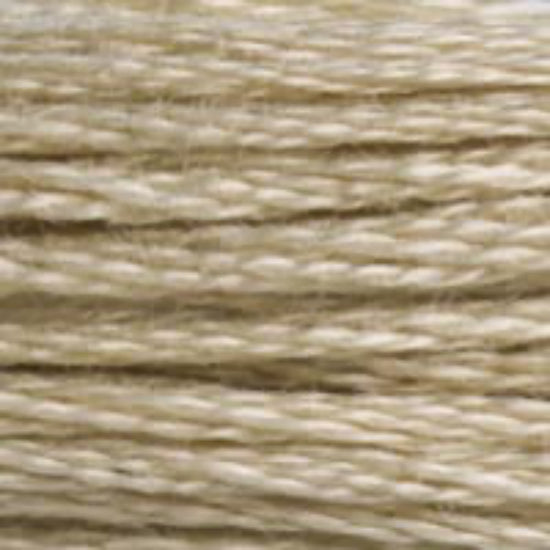 DMC-613 Very Light Drab Brown  6 Strand Floss